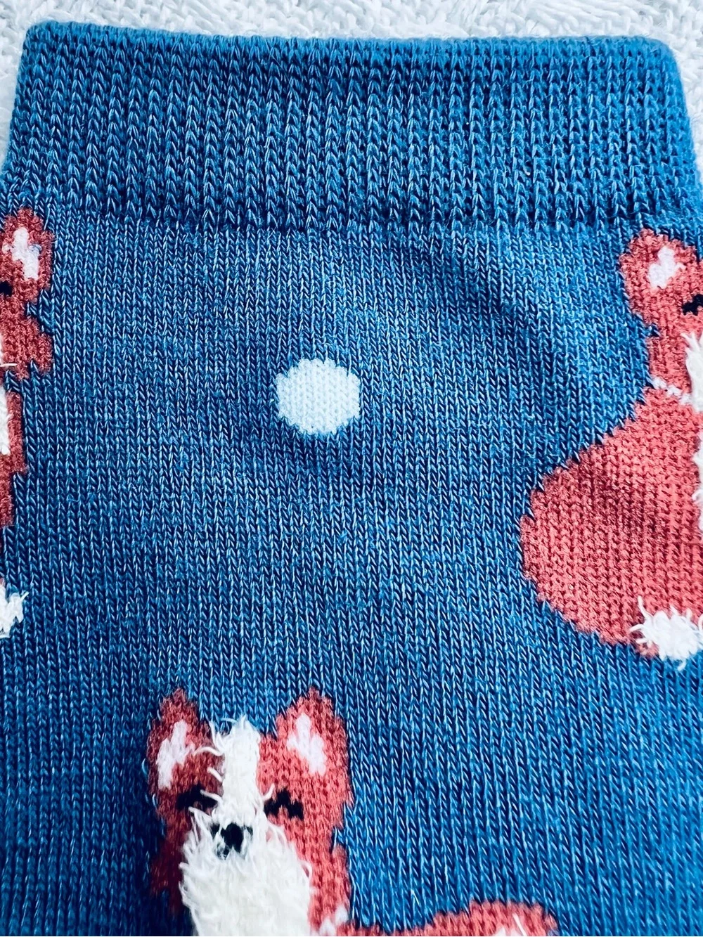FREE PRESS LEGWEAR BLUE CREW SOCKS with CORGI DOGS